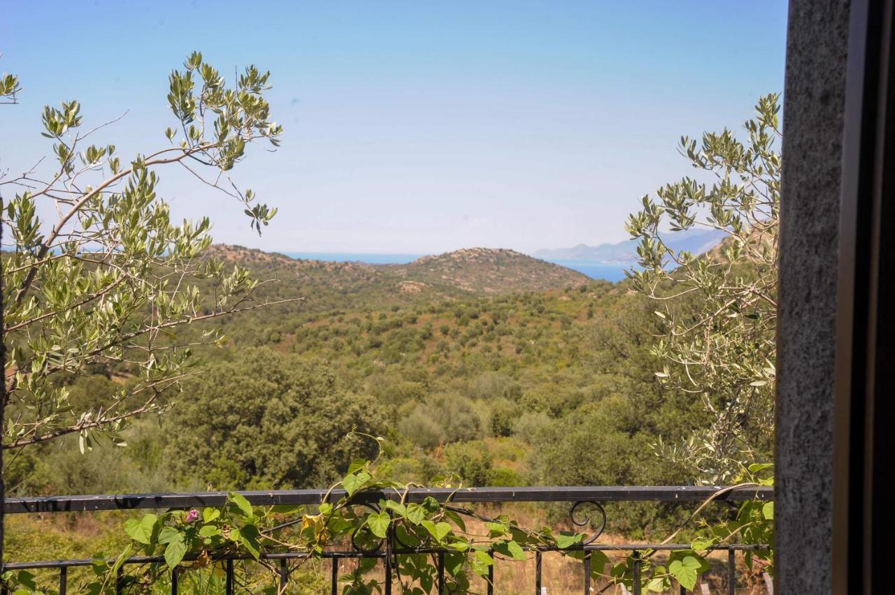 A Casa di Paulina Bed & Breakfast Casta Bagian luar foto